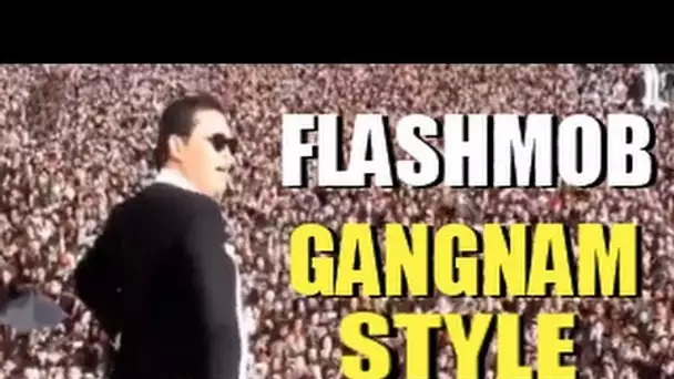 Flash mob Gangnam Style Psy à Paris
