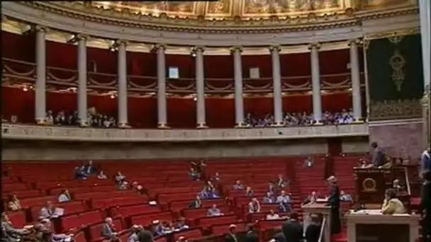 Assemblée nationale / Quinquennat