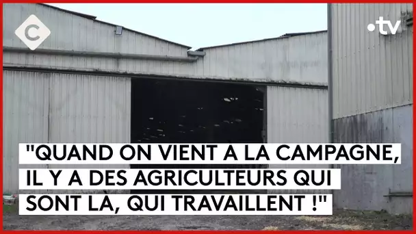 Les agriculteurs bientôt protégés des néoruraux ? - La Story - C à Vous - 29/11/2023