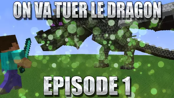 ZeratoR Fedetruk #86.1 : On va tuer le dragon !