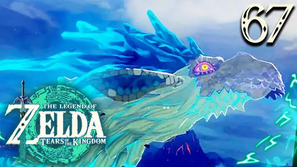 Zelda Tears of the Kingdom #67 : NEDRAC, LE DRAGON GLACE !
