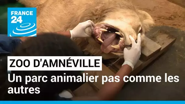 Zoo d'Amnéville : aux petits soins des animaux • FRANCE 24