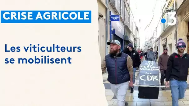 Agriculteurs en colère : les viticulteurs se mobilisent