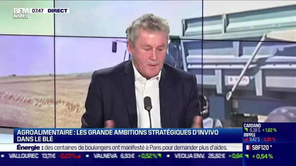 Thierry Blandinières (InVivo) : Les grandes ambitions stratégiques d'InVivo dans le blé