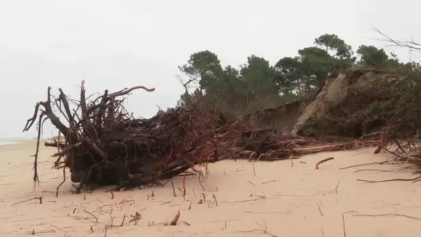 L'érosion de la côte sauvage reprend suite aux premières tempêtes hivernales