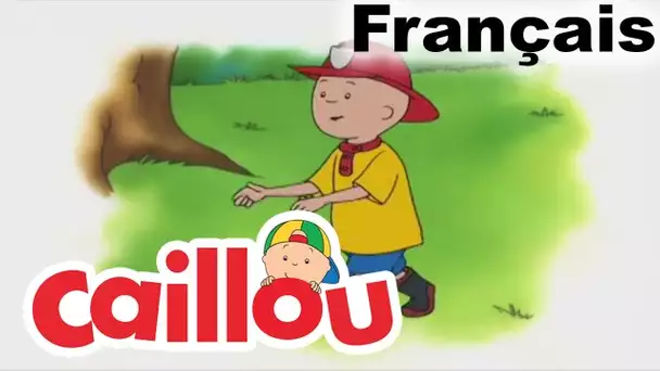 Caillou en FRANÇAIS: Caillou Et Les Pompier | conte pour enfant | Caillou en Français