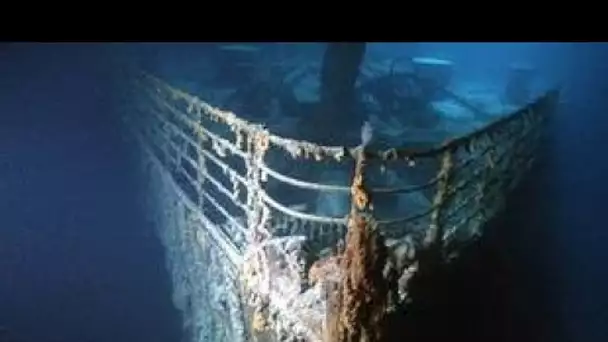 Titanic  : Signée  Love, Jack , une carte postale du célèbre navire vendue aux enchères
