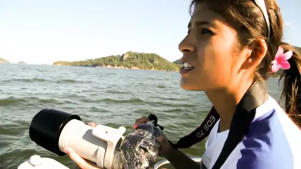 Elle protège la faune marine de la baie de Rio