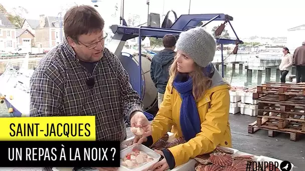 Saint-Jacques : que trouve-t-on vraiment dans nos assiettes ?