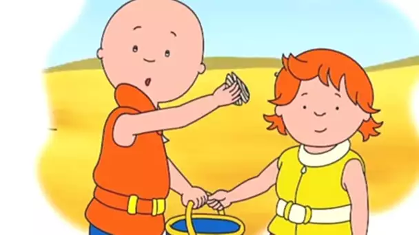 Caillou en Français - Caillou Cherche des Coquillages | dessin animé en francais | conte pour enfant