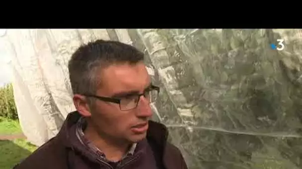 Exemple de gestion des pesticides en arboriculture dans le Loiret