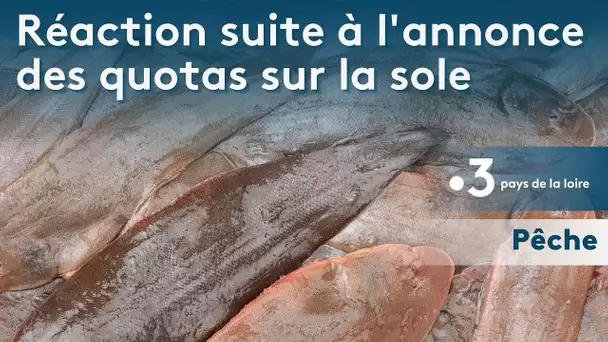 Réaction suite à l'annonce des quotas de pêche à la sole