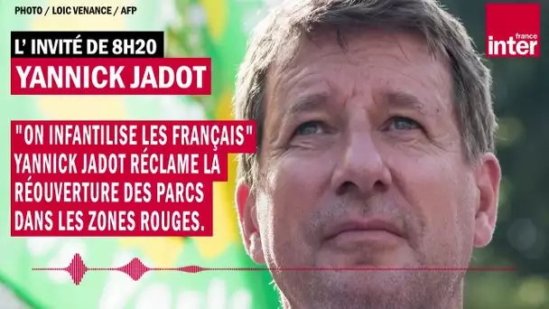 "On infantilise les Français" : Yannick Jadot réclame la réouverture des parcs dans les zones rouges