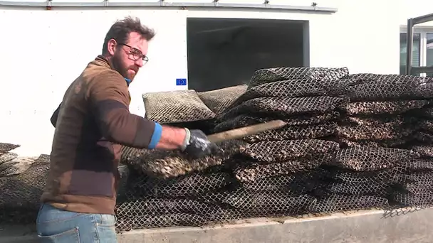 D'huîtres et ma Ré, un ostréiculteur de Charente-Maritime au Salon de l'Agriculture