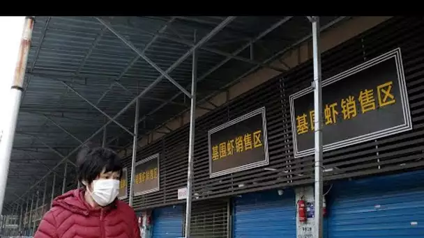 Chine : quatre nouveaux cas de pneumonie recensés, probablement des centaines de contaminations