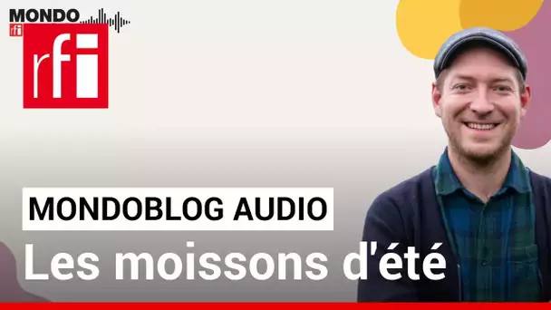 Les moissons d'été • Mondoblog Audio • RFI