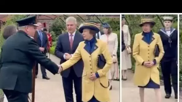 La princesse Anne étourdit en jaune alors qu'elle assiste au château de Hillsborough lors d'un voyag