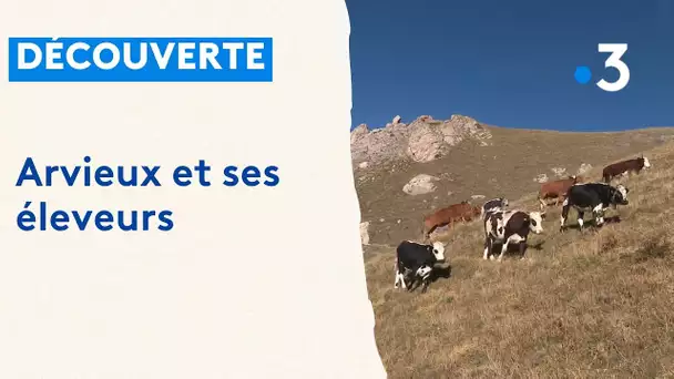 A Arvieux, dans le Queyras, l’élevage est l’une des principales activités