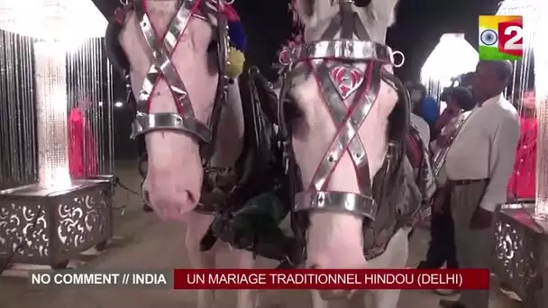 Un mariage traditionnel hindou - No Comment // India, épisode 14