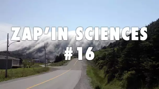 Zap'In Sciences #16 - L'Esprit Sorcier