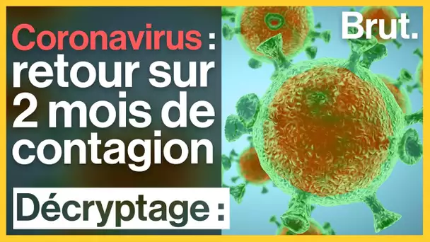 Coronavirus : retour sur 2 mois de contagion