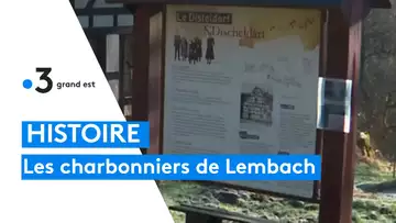 L'histoire des charbonniers de Lembach dans les Vosges du Nord