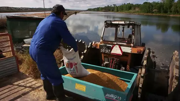 Le tourisme de masse détruit le charme de ce pays