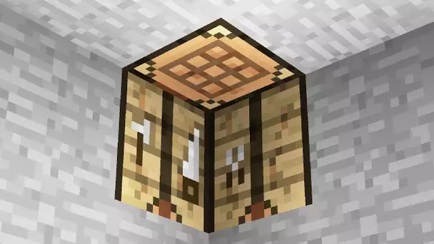 MINECRAFT: AVEZ-VOUS REMARQUÉ CES DÉTAILS ?!