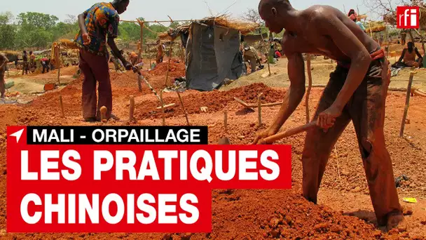 Orpaillage : les pratiques chinoises en question au Mali • RFI