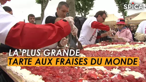 Ils vont préparer la plus grande tarte aux fraises du monde