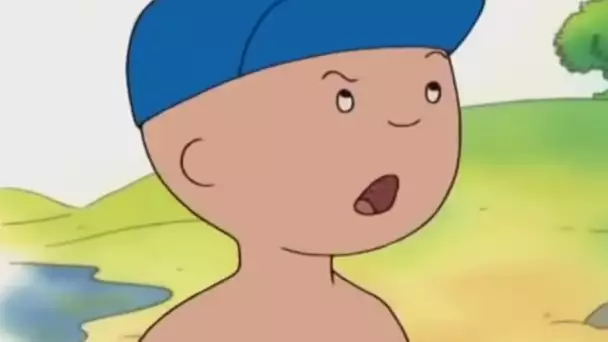 Dessin Animé | Caillou FRANÇAIS - Bonne année | conte pour enfant | dessin anime complet