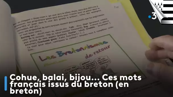 Cohue, balai, bijou... Ces mots français issus du breton (An Taol Lagad)