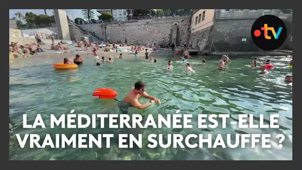 Canicule marine : la mer Méditerranée est-elle vraiment en surchauffe ?