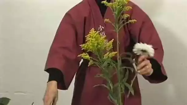 Ikebana - Arts floral japonais