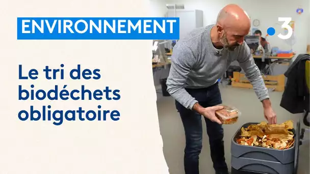 Contre le gaspillage, le tri des déchets alimentaires est désormais obligatoire