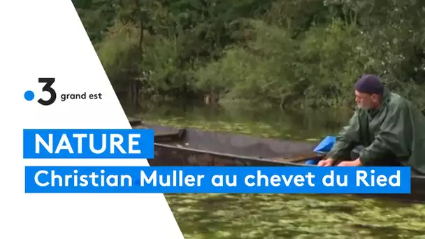 Christian Muller filme le Ried par amour pour ce coin d'Alsace
