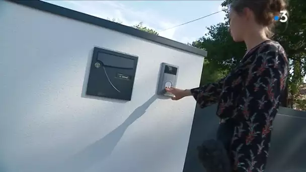 Gironde : l'abattage illégal de pins parfois centenaires fait polémique au Pyla-sur-Mer