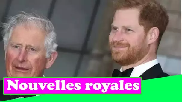 Les « barbes constantes » de Harry contre Charles pourraient « endommager le règne des futurs rois »