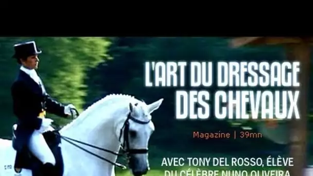 Equitation : L'art de dresser les chevaux