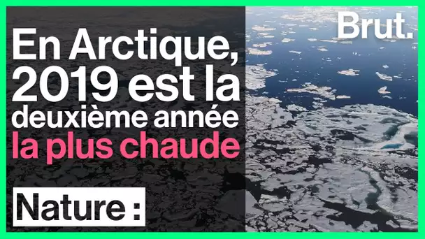 Le pôle Nord se réchauffe deux fois plus vite que le reste de la Terre