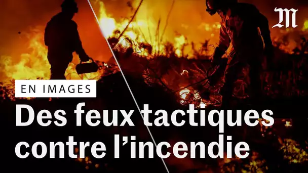 Incendies en Gironde : des feux tactiques pour contenir les flammes