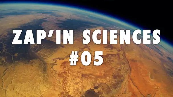 Zap'In Sciences #05 - L'Esprit Sorcier