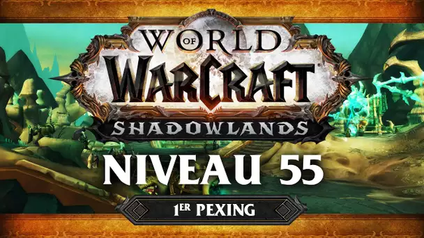 WoW Shadowlands #4 : Niveau 55 (ft. Lapi, Gius, Kenny et Flora)