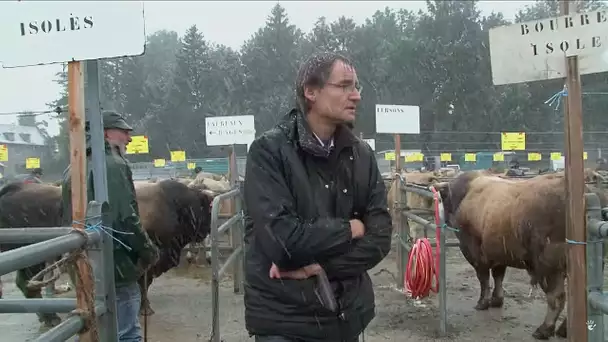 Je suis le seul vétérinaire pour tout le plateau de l'Aubrac