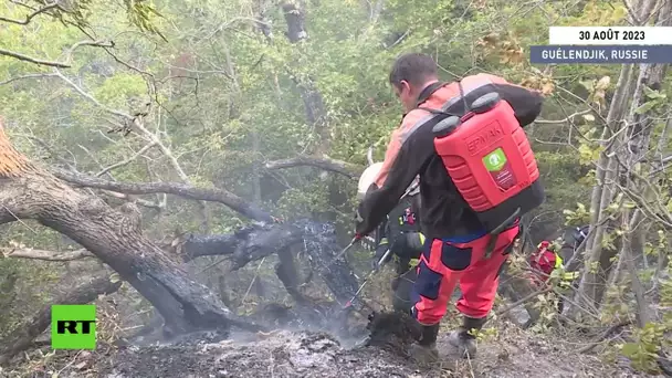 🇷🇺 Russie : lutte contre les incendies de forêt dans la région de Guélendjik