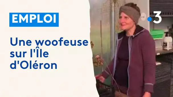 Une woofeuse sur l'Île d'Oléron