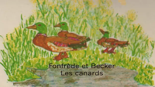 Claude Fonfrède, Dominique Becker - Les canards
