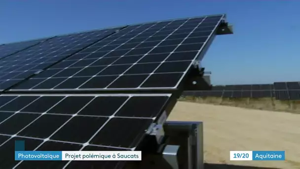 Gironde : projet de création du plus grand parc photovoltaïque d’Europe à Saucats