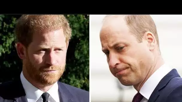 Le prince William « vraiment frustré et coincé » face à la décision « impossible » du prince Harry