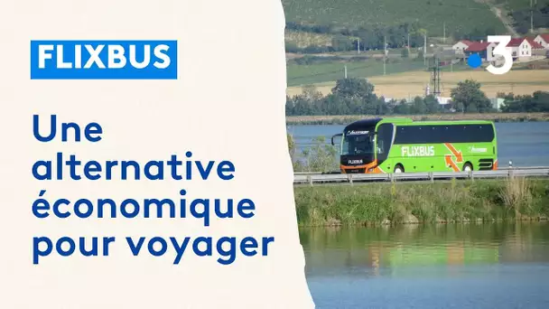 FlixBus : une  alternative économique pour voyager